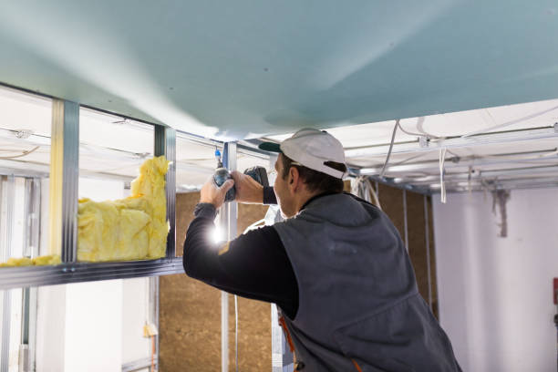 Best Geographic-Specific Insulation Services in Piperton, TN