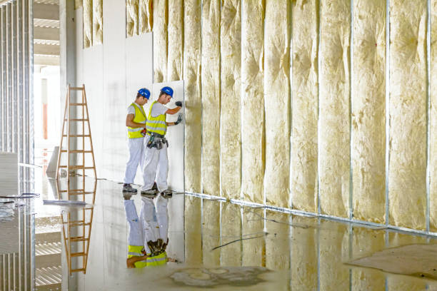 Best Blown-in Insulation in Piperton, TN